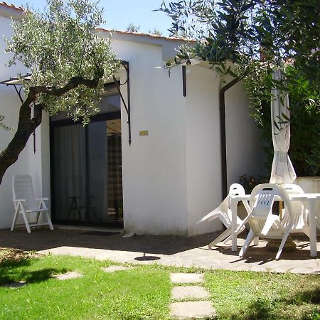Podere Belvedere Cecina Cecina (Livorno) Exterior foto