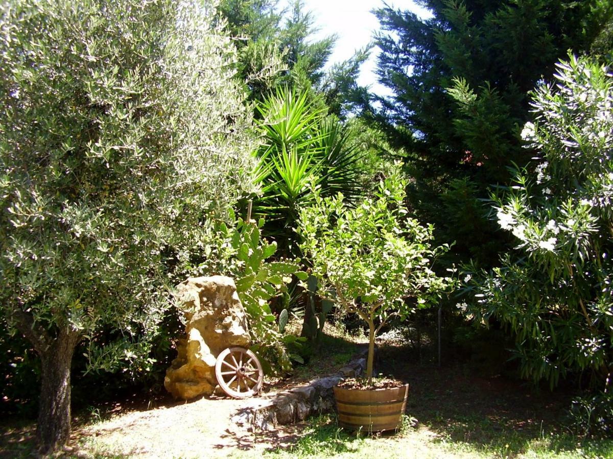 Podere Belvedere Cecina Cecina (Livorno) Exterior foto