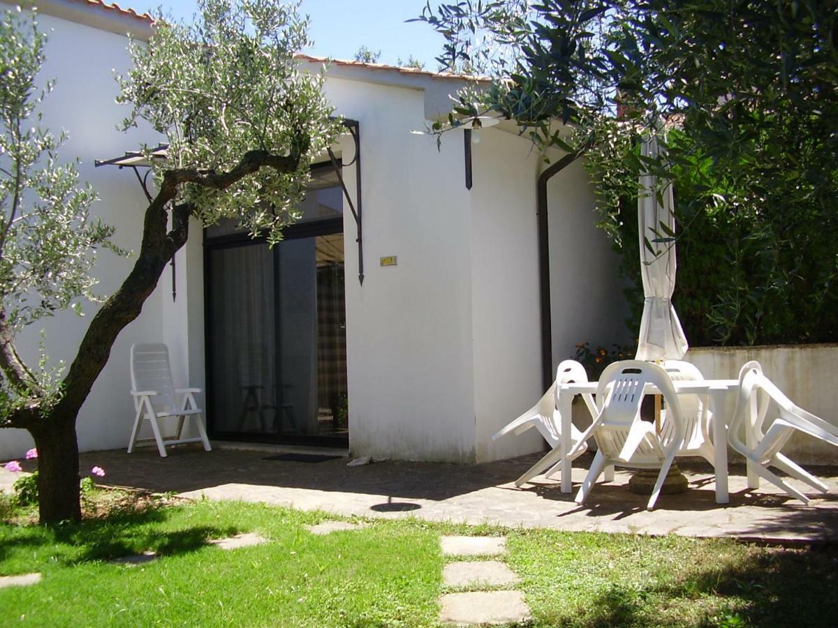 Podere Belvedere Cecina Cecina (Livorno) Exterior foto