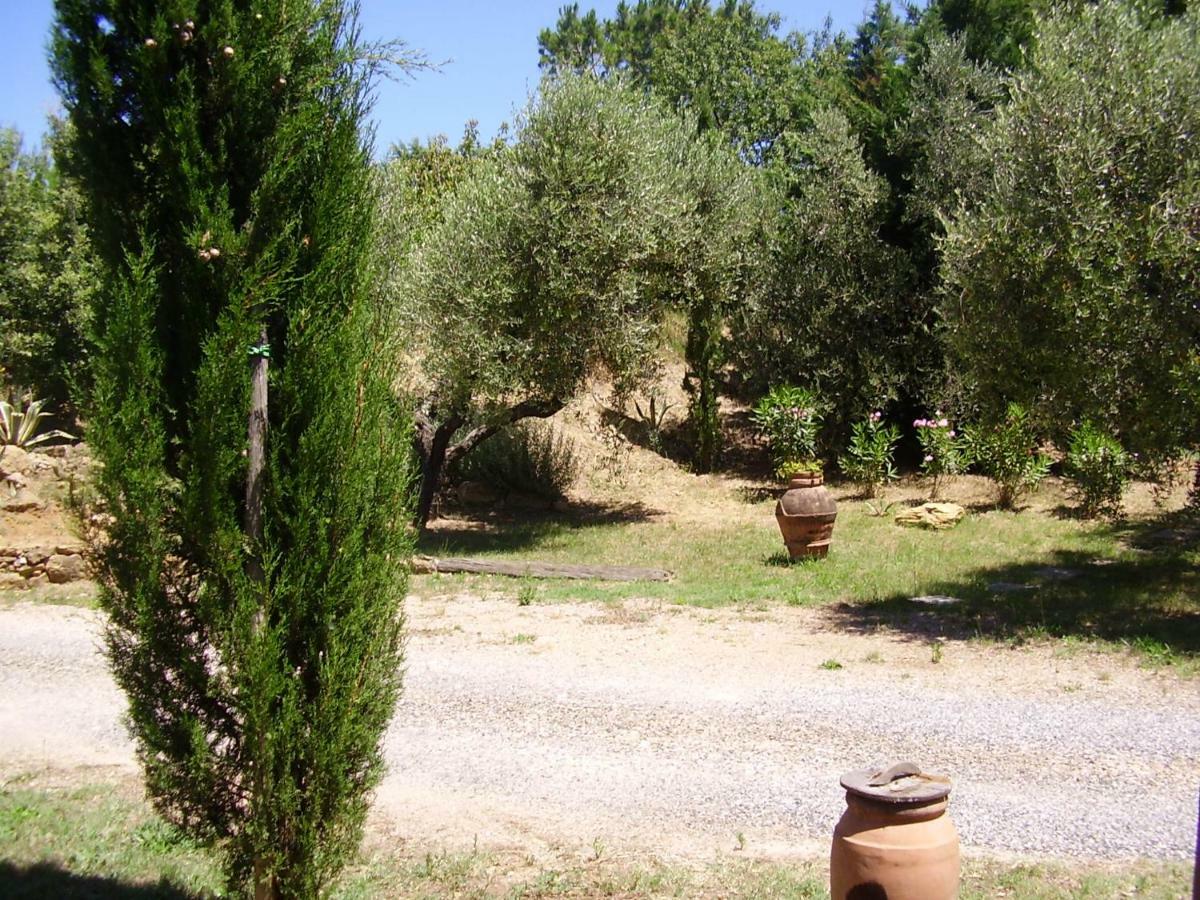 Podere Belvedere Cecina Cecina (Livorno) Exterior foto